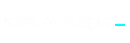 axel springer online marketing case